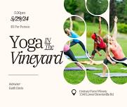 Yoga in the Vineyard