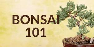 Bonsai 101 Workshop