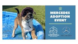 Mercedes Adoption