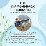 The Diamondback Terrapin