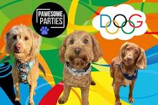 Berwick - Cockapoo/Spaniel Doglympics Party