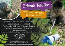 Primate Tool Use - What do they use, how and why?