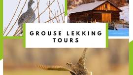 Grouse Lek Tours with Yampatika