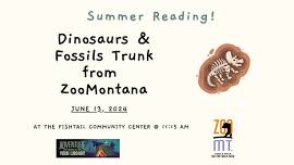 Dinosaurs & Fossils Trunk from ZooMontana – Fishtail