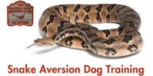 Dog Training - Snake Aversion