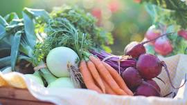 Zephyrhills Free Produce Giveaway for Seniors