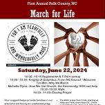 1st Annual March for Life in Polk County, NC