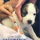 Low-Cost Pet Vaccination Clinic