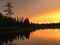 Evening Canoe Paddle - Northport, ME — Wood Thrush Wilderness LLC