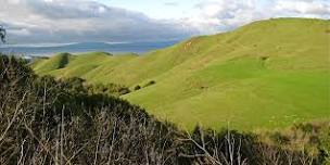 Wildcat Canyon Wander