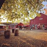 Nature + Networking: Group Hike At Hacklebarney State Park….And Cider Donuts