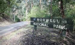 Kerry Rd Picnic Area, Morwell National Park  — The Entomological Society of Victoria