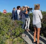 Nantucket Birding — Linda Loring Nature Foundation