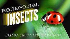 Beneficial Insects