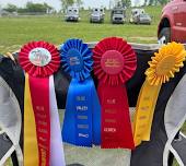 PJHSA Horse Show at Blue Valley Riding Center