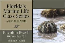 2024-2025 Florida's Marine Life Class Series @Boynton Beach | Wednesday Afternoons (Biblically-Based) — Saltwater Studies