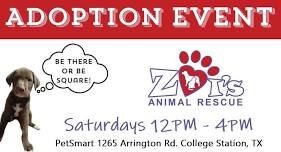 Adoption Event