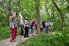 MDC offers free guided birding hike May 18 at Blue Springs