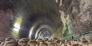 Mittagong Tunnel Family Open Day