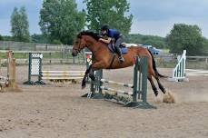 Leg Up Stables June Hunter/Jumper Show