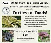 Turtles to Toads at Whitingham Free Public Library With the Southern Vermont Natural History Museum