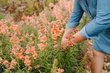 Petals With Purpose for Mother’s Day