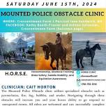 H.O.R.S.E  CLINIC