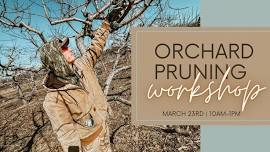 Meckley’s Orchard Pruning Workshop