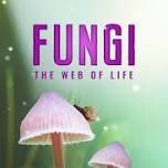 Fungi: Web of Life