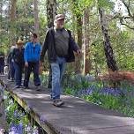 Nature Walks in the Hidden Forest 1st & 3rd Saturdays June 15