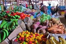 Jamaica Countryside Tour: Explore Culture and Climb Dunns River Falls