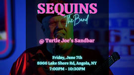 Sequins @ Turtle Joe's!