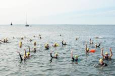 Buzzards Bay Swim Open Water Clinic