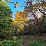 Autumn Colour Visitor Day