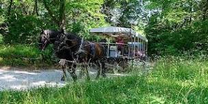 test Carriage Ride