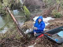 NSEA Stream Team – Old Hutchinson Creek