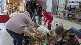 Babies at the Barns