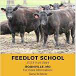 BEEF FEEDLOT SCHOOL