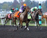 Opening Day @ Presque Isle Downs