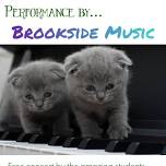 Brookside Music Concert