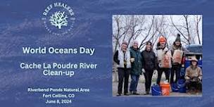 Reef Healers World Oceans Day - Cache La Poudre River Clean-up