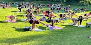 FREE YOGA IN THE PARK