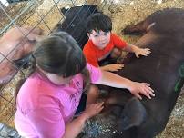 Newton County Punkin Vine Fair