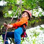 Big Tree Climbing 2024 - Wimpole Estate