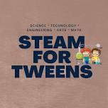 STEAM for Tweens-Rock Painting — Dowagiac District Library