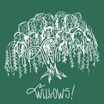 Willows - band @ Cedar Lake Meeting Point