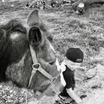 Young Ranchers Day Camp