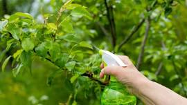 Fruit Tree Mastery Class 3 of 4-  Spraying & Fertilizing