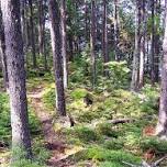 Downeast Lakes Land Trust Annual Trail Work Day