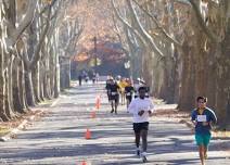 Queens Marathon, QDR Half Marathon & 10K